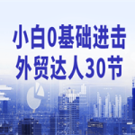 小白0基础进击外贸达人30节