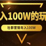 年入100W的社群营销玩法