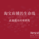 淘宝店铺的生命线-流量提升培训教程_电商运营教程