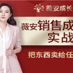 薇安28天销售高手训练营