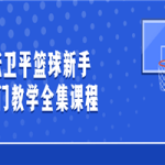 张卫平篮球新手入门教学全集课程