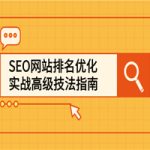 SEO网站排名优化实战高级技法指南，从0到1快速到百度或任何搜索引擎首页