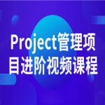 Project管理项目进阶视频课程