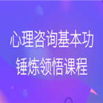 心理咨询基本功锤炼领悟课程
