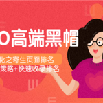 SEO高端黑帽优化之寄生页面排名，制作策略+快速收录排名