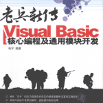 老兵新传 Visual Basic核心编程及通用模块开发 （张宁） pdf_NET教程
