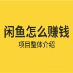 【免费】借助信息差操作闲鱼项目，躺着来钱的方法