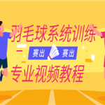 羽毛球系统训练专业视频教程