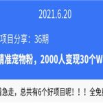 [36期]闲鱼引精准宠物粉，2000粉变现30个W全记录