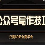 60天，全面学会公众号写作技巧