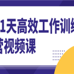 21天高效工作训练营视频课