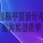 包装平面设计与结构实战教学