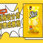 电商设计师初养成视频教程